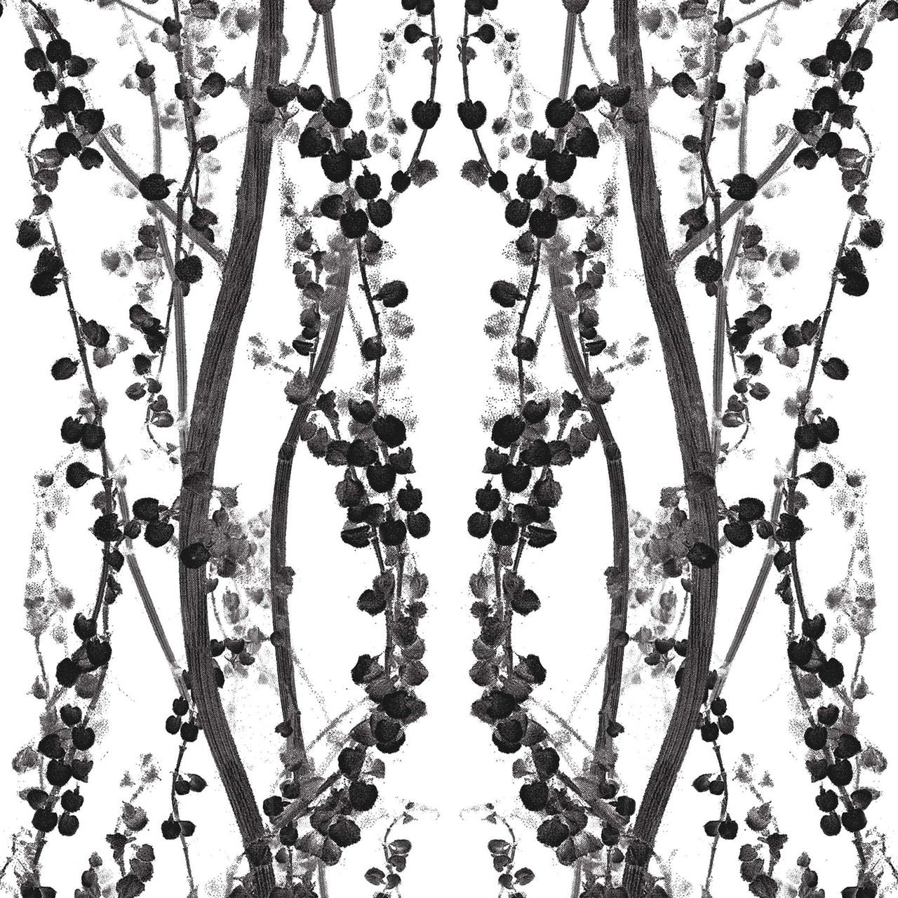 Black White Branches BR088 Wallpaper