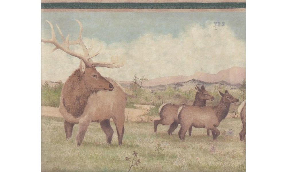 Beige Green Deer Scenery RST2433 Wallpaper Border