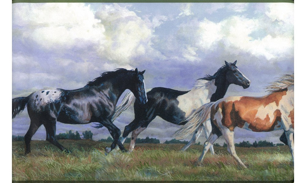 Horses NY9448 Wallpaper Border