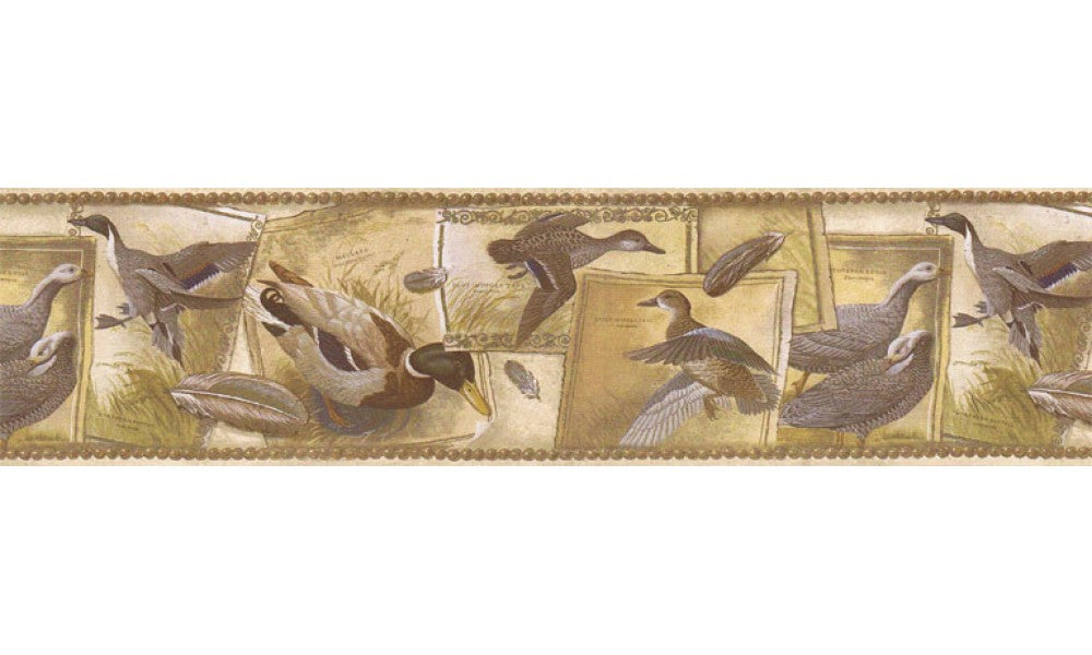 Birds SG30433 Wallpaper Border