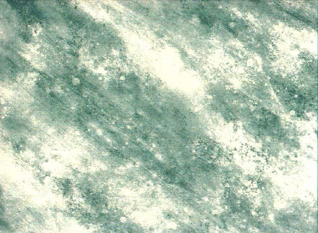 Green NF2094 Wallpaper