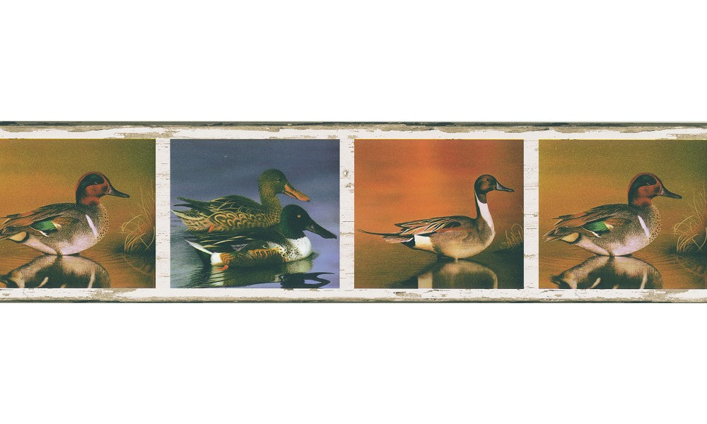 Birds  FDB03844M Wallpaper Border