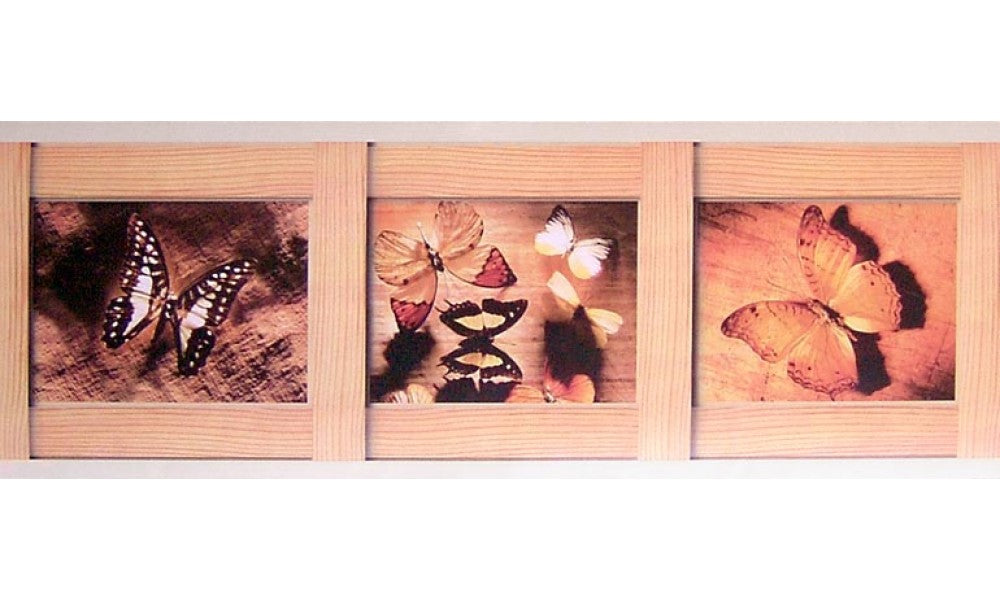 Butterfly B1015RL Wallpaper Border