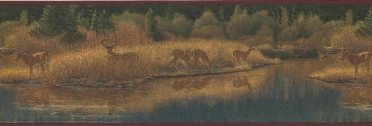 Deer Drinking Water from Forest ADV2083B Wallpaper Border