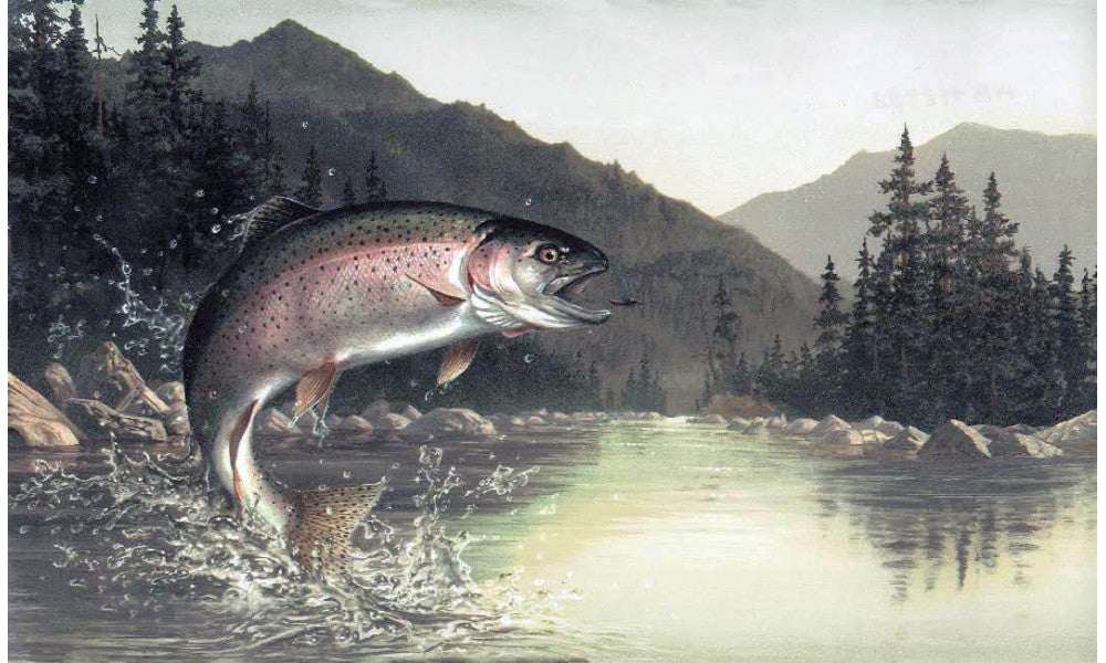 Grey Lake Mountain Fish HB112192 Wallpaper Border