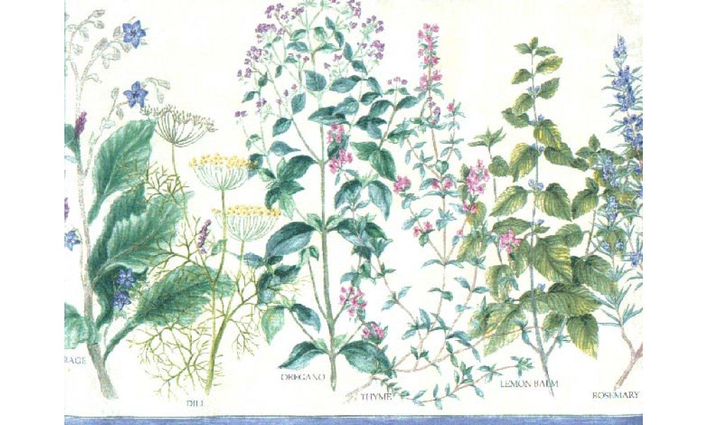 Floral b10850 Wallpaper Border