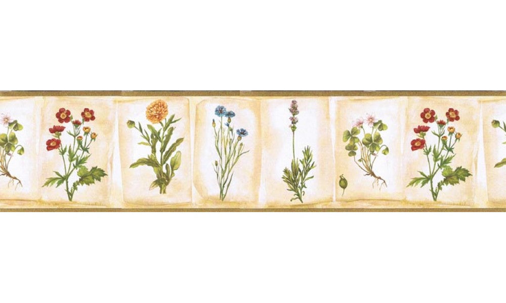 Floral KB53006B Wallpaper Border