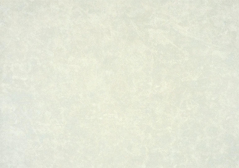 Grey Silver KT19173 Wallpaper