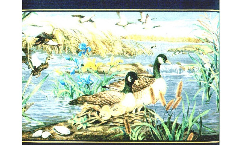 Birds b72072 Wallpaper Border