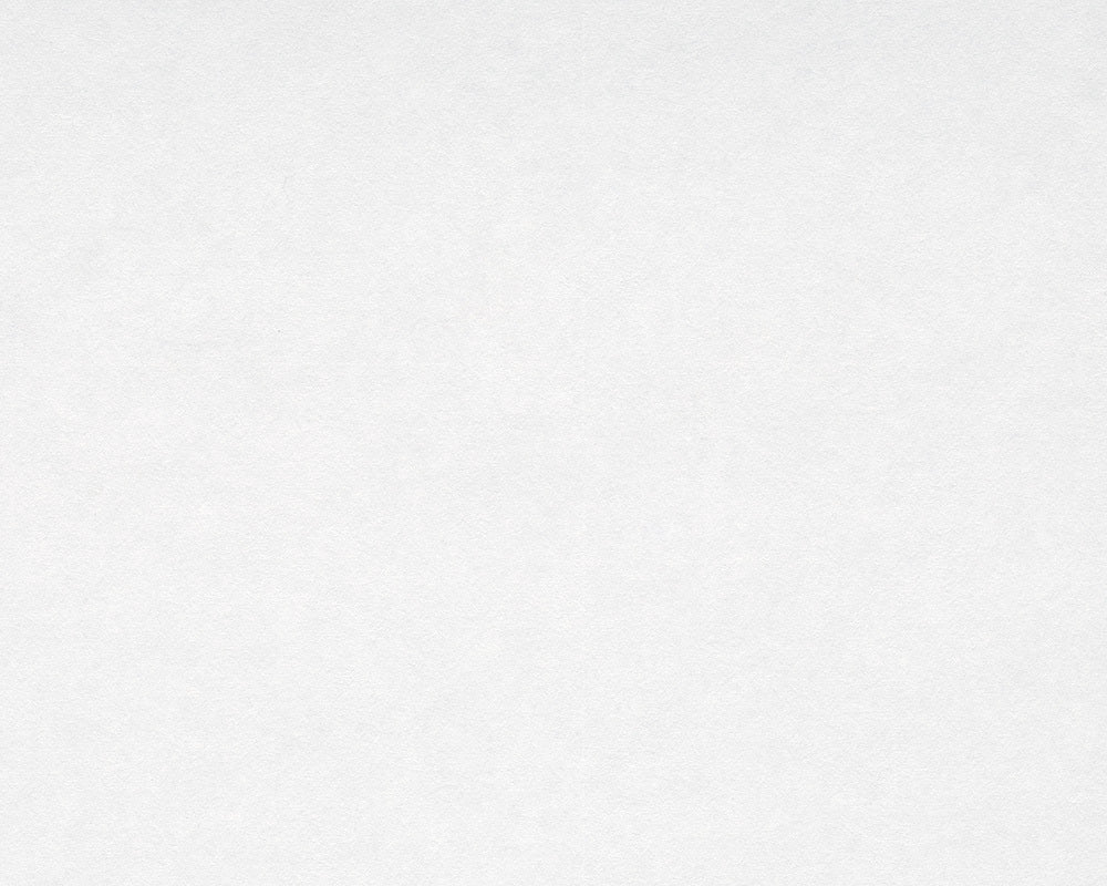 Paintable Meistervlies Pro/Protect 144010 Wallpaper