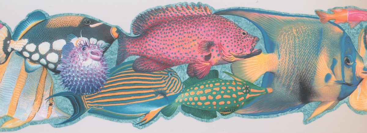 Colorful Fish Teal Kids ISB4042B Wallpaper Border