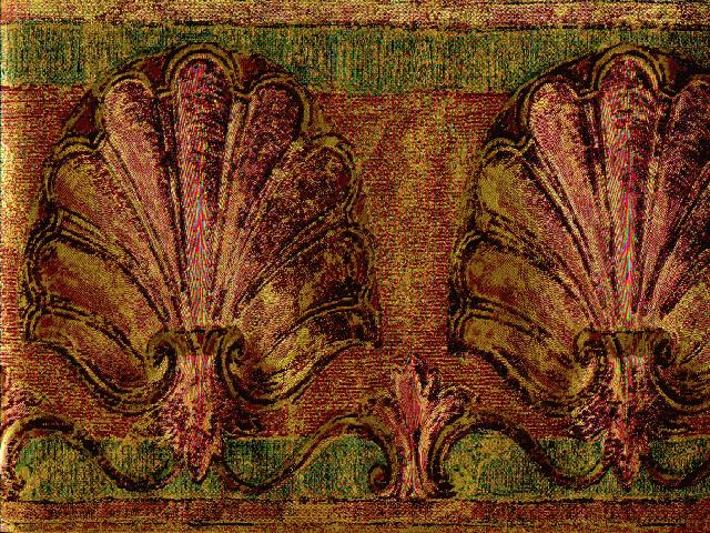 Satin Romance Sea Shells DES24981 Wallpaper Border