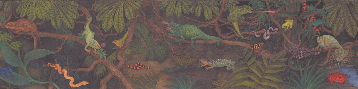 Lizards Snakes Chameleon BE11241MB Wallpaper Border