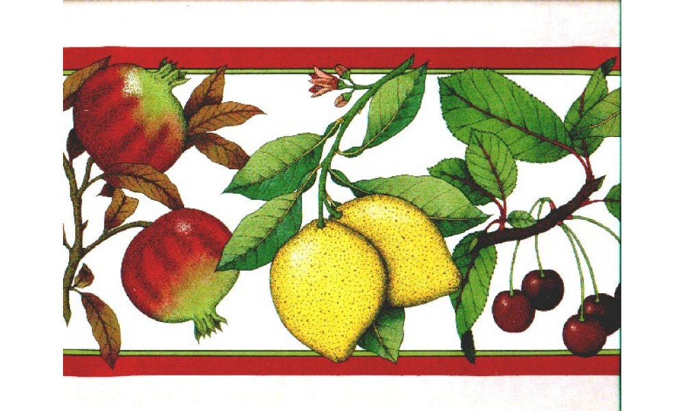 Fruits b167217 Wallpaper Border