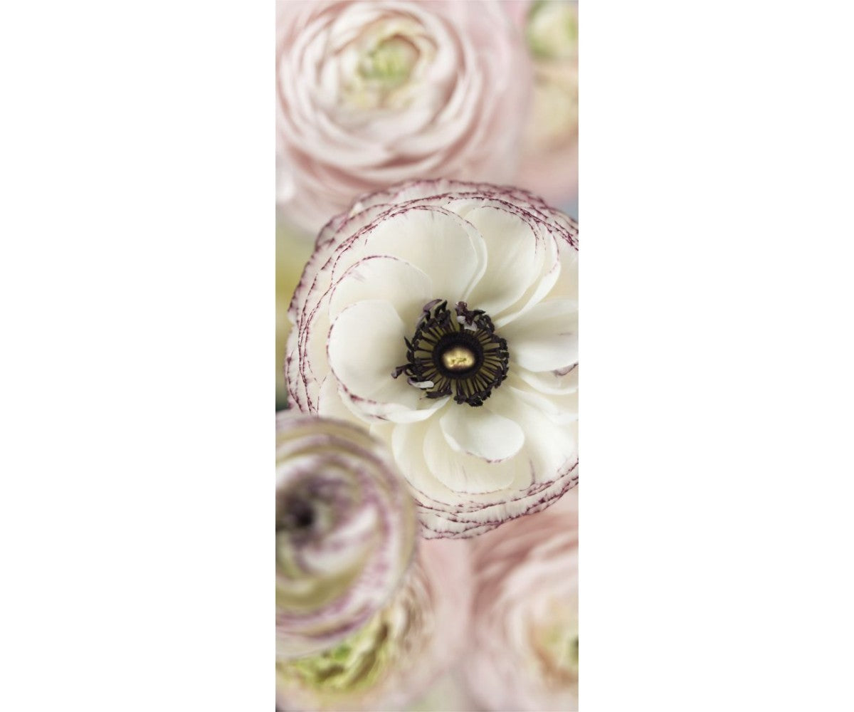 Day Dream 2-1884 Wall Mural