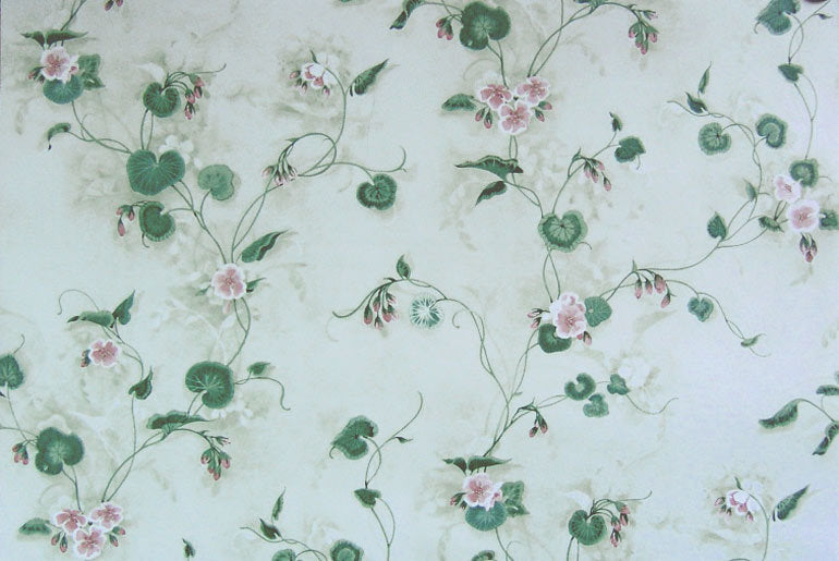 Flower Ivy 20030902 Wallpaper