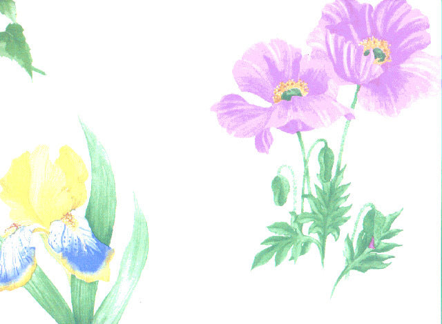 Poppy Iris 24209 Wallpaper