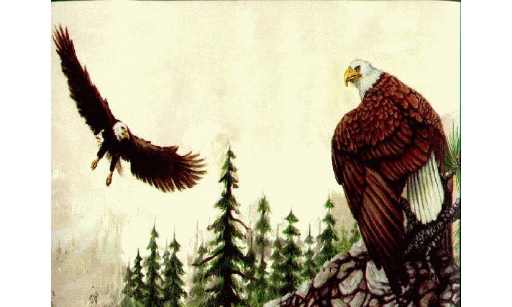 Eagle Wallapaper Border GB3122B Wallpaper