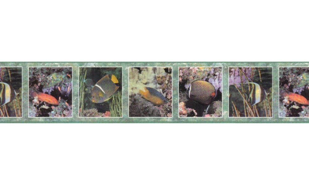 Fishes B92500 Wallpaper Border