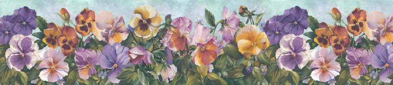 Pansy Flower 225B28974 Wallpaper Border