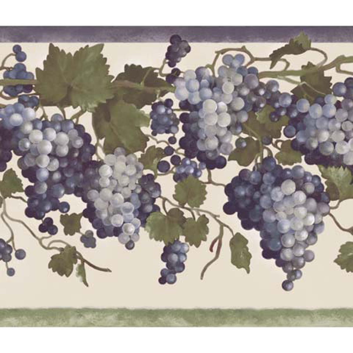 Grape Fruit  84B73602 Wallpaper Border