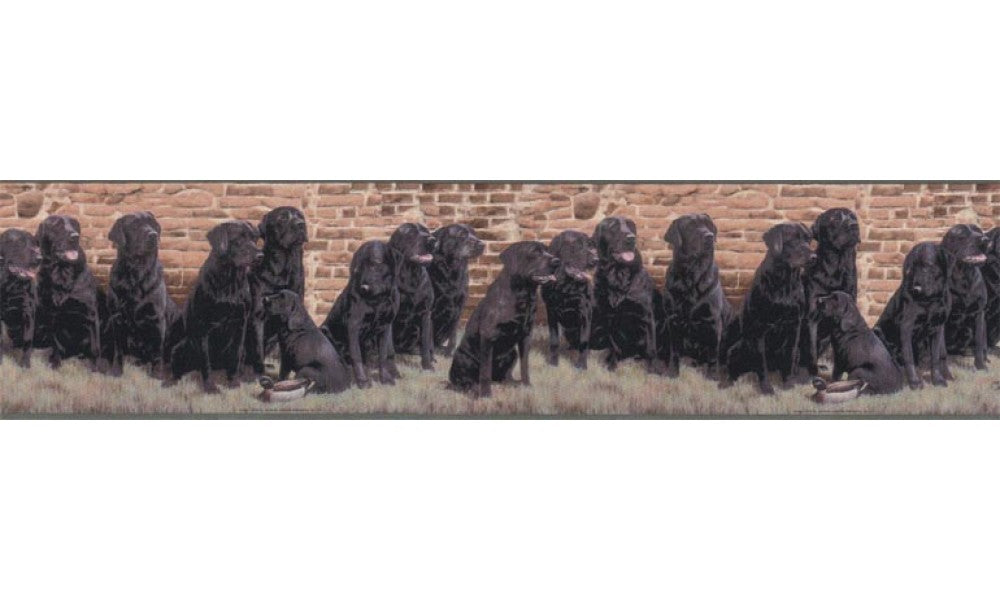 Dogs b102691 Wallpaper Border