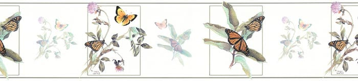 Butterfly Butterflies GL76365 Wallpaper Border