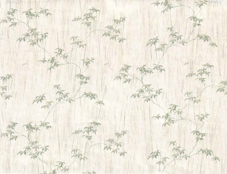 Ivy Wall 34071 Wallpaper