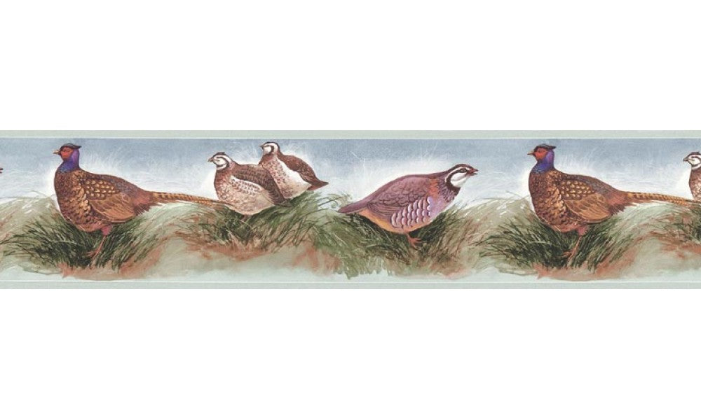Birds B75079 Wallpaper Border