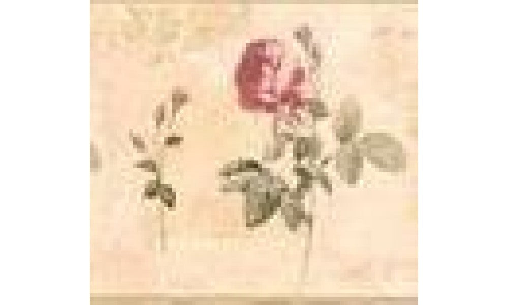 Tan KH5909B Rose KH5909 Wallpaper Border