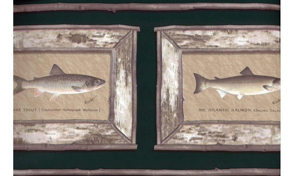 Brown Framed Atlantic Salmon CW102741 Wallpaper Border