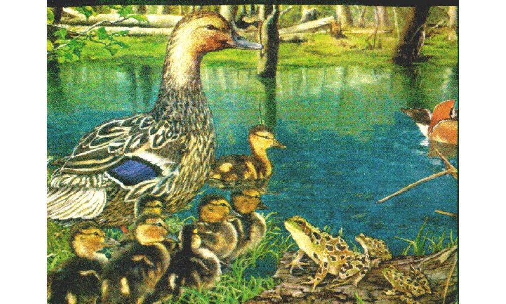 Ducks b2003nf Wallpaper Border