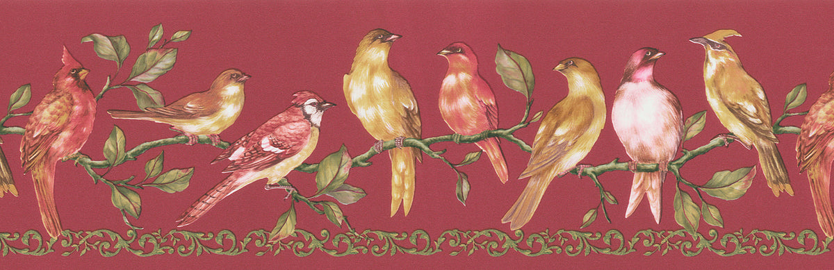 Birds  FDB06912 Wallpaper Border