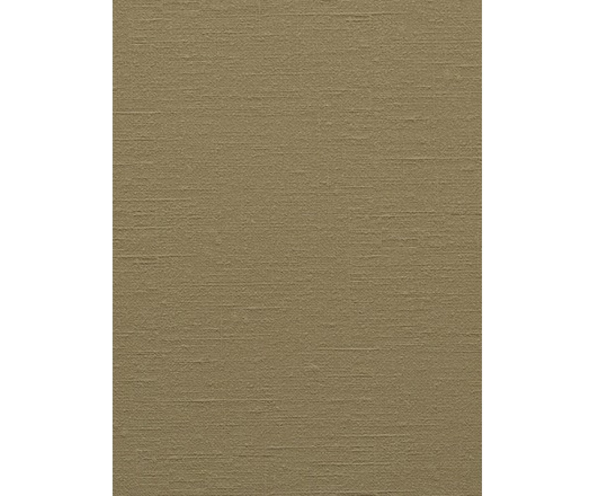 Brown Colourline 43735 Wallpaper