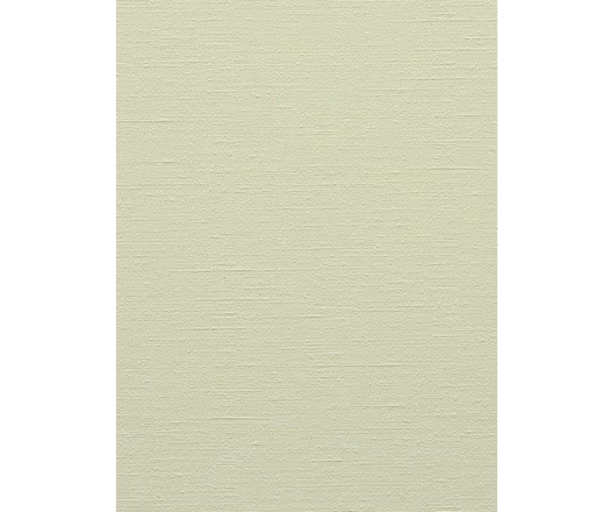Light Green Colourline 43741 Wallpaper