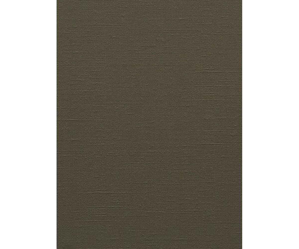 Grey Colourline 43743 Wallpaper