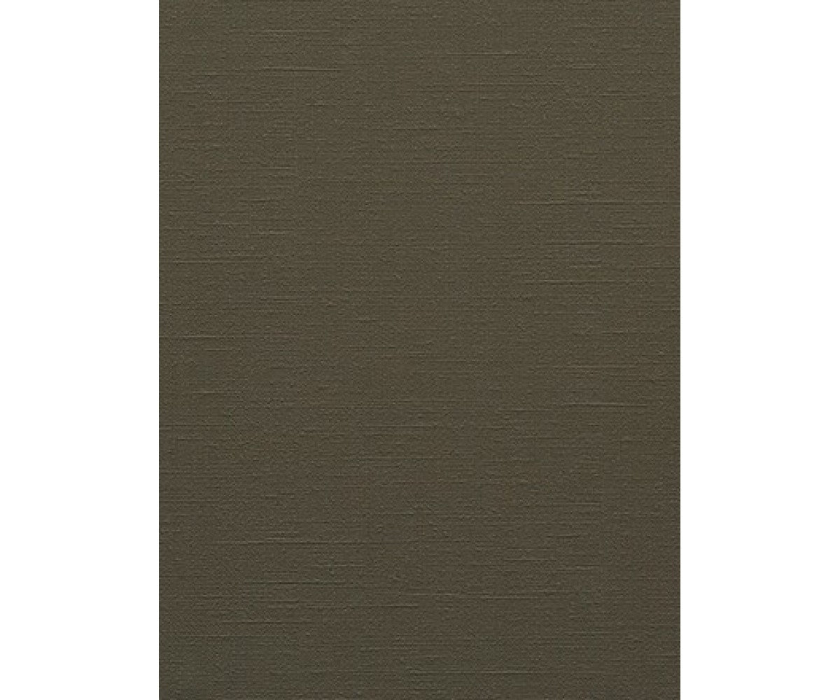 Grey Colourline 43743 Wallpaper