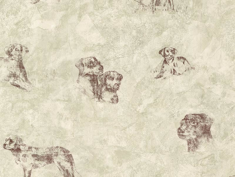 Dogs Labrador TM19713 Wallpaper