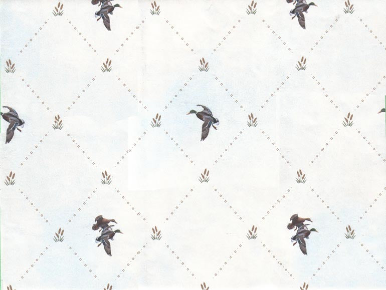 Duck Cane 44313 Wallpaper