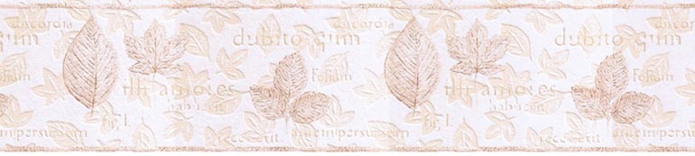 Leaves Latin B3714 Wallpaper Border