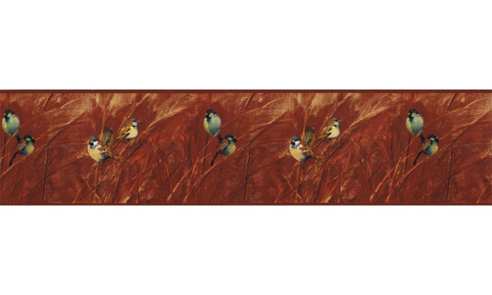 Birds NS7701B Wallpaper Border
