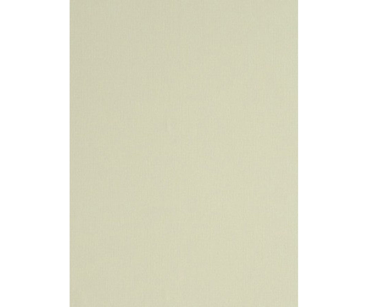 Light Grey Colourline 45979 Wallpaper