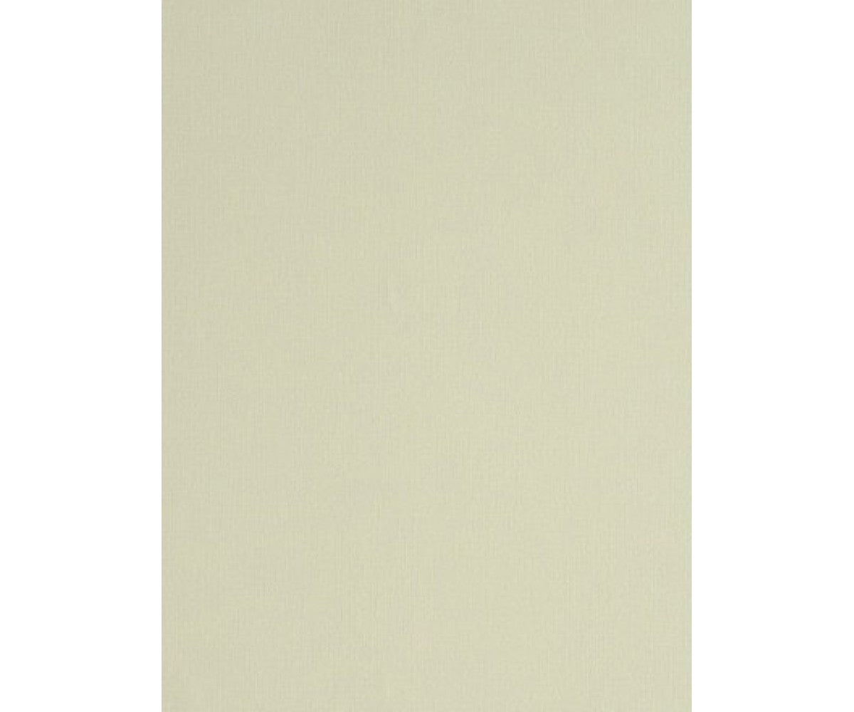 Light Grey Colourline 45979 Wallpaper