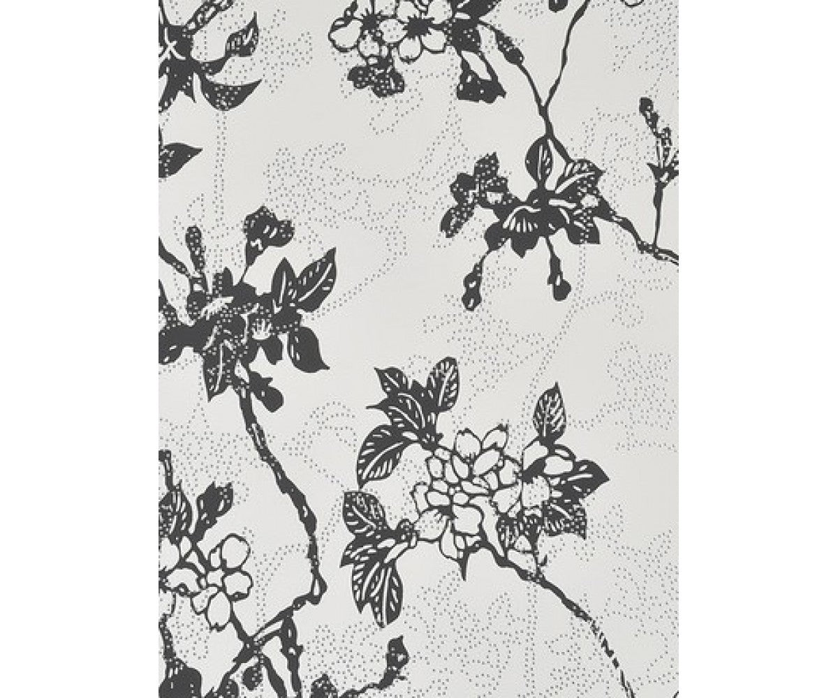 Black 46020 Enchanted Wallpaper