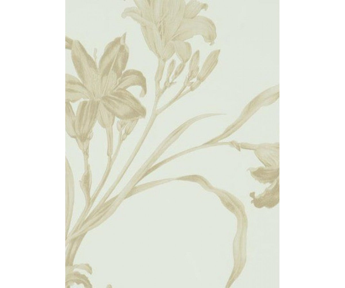 Tan Dainty 46843 Wallpaper