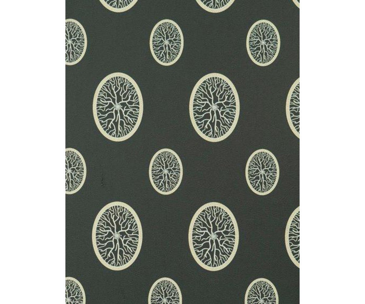 Black 46981 Exciting Wallpaper