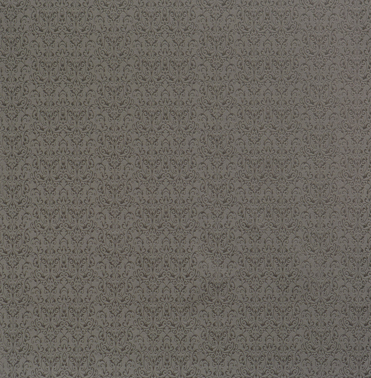 Mystic Vine Trail Black 48634 Wallpaper