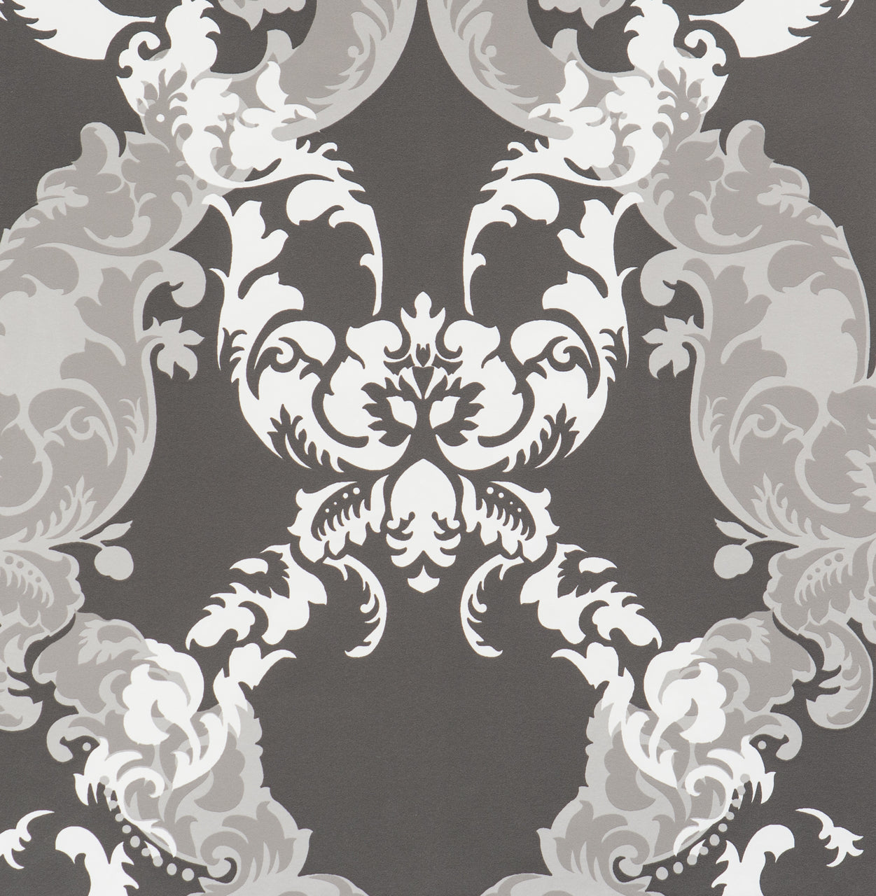 Adorn Floral Scroll Black White 48663 Wallpaper