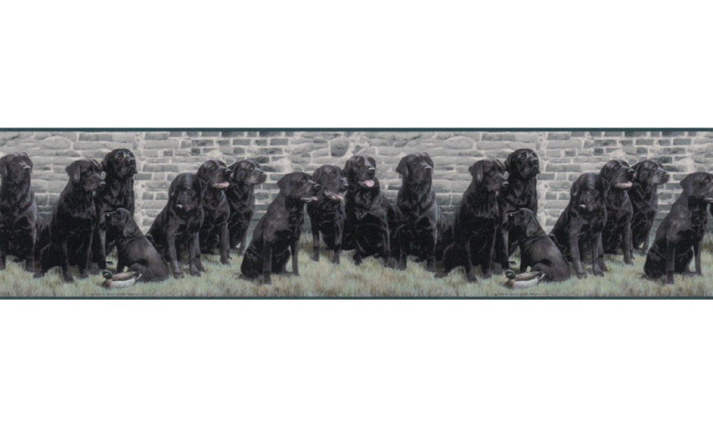Dogs b102692 Wallpaper Border