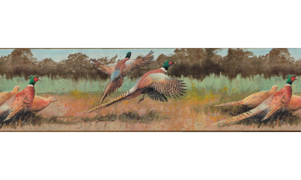 Birds b2132du Wallpaper Border